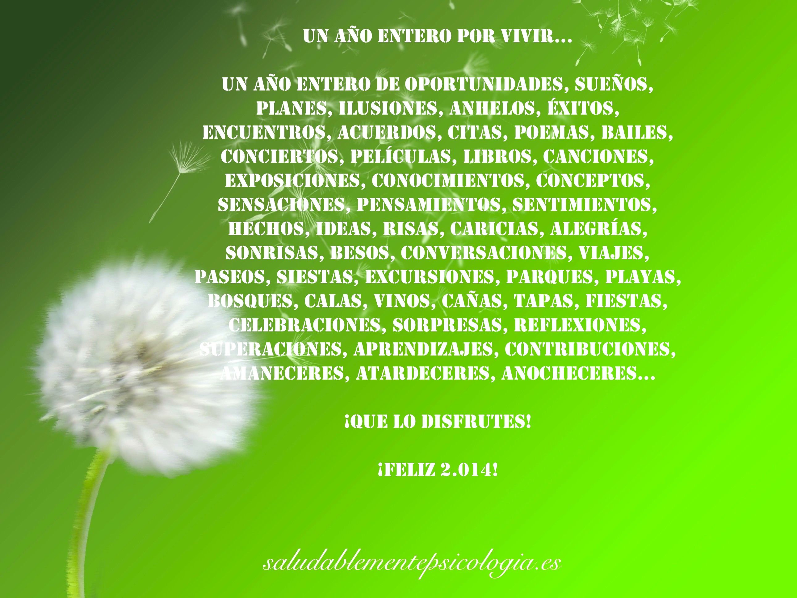 FELIZ 2014 texto