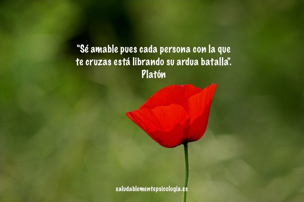 Amabilidad_