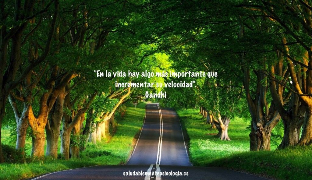 Slow_