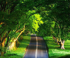 Slow… Vida con Calidad