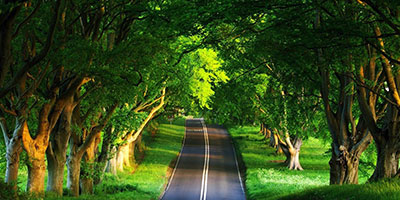 Slow… Vida con Calidad