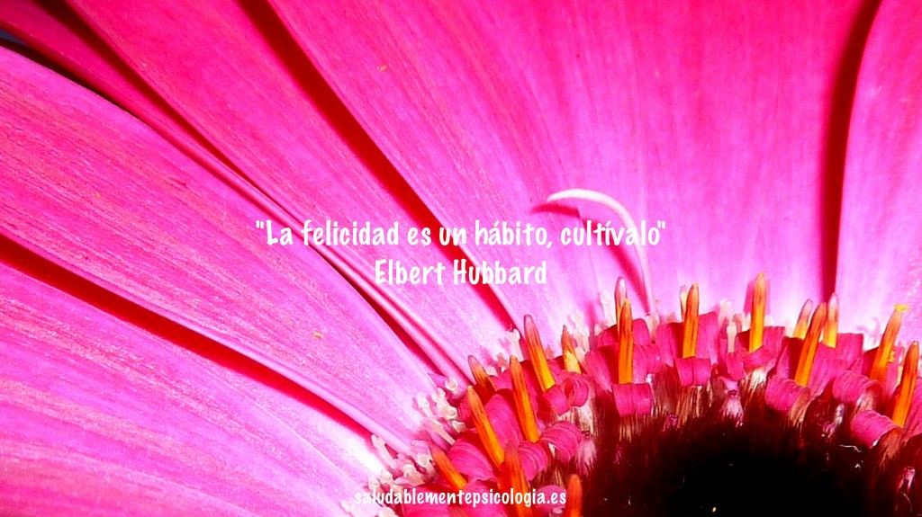 FelicidadHábito d